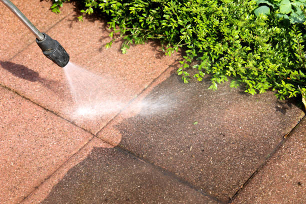 Best Power Washing Near Me  in Bangs, TX